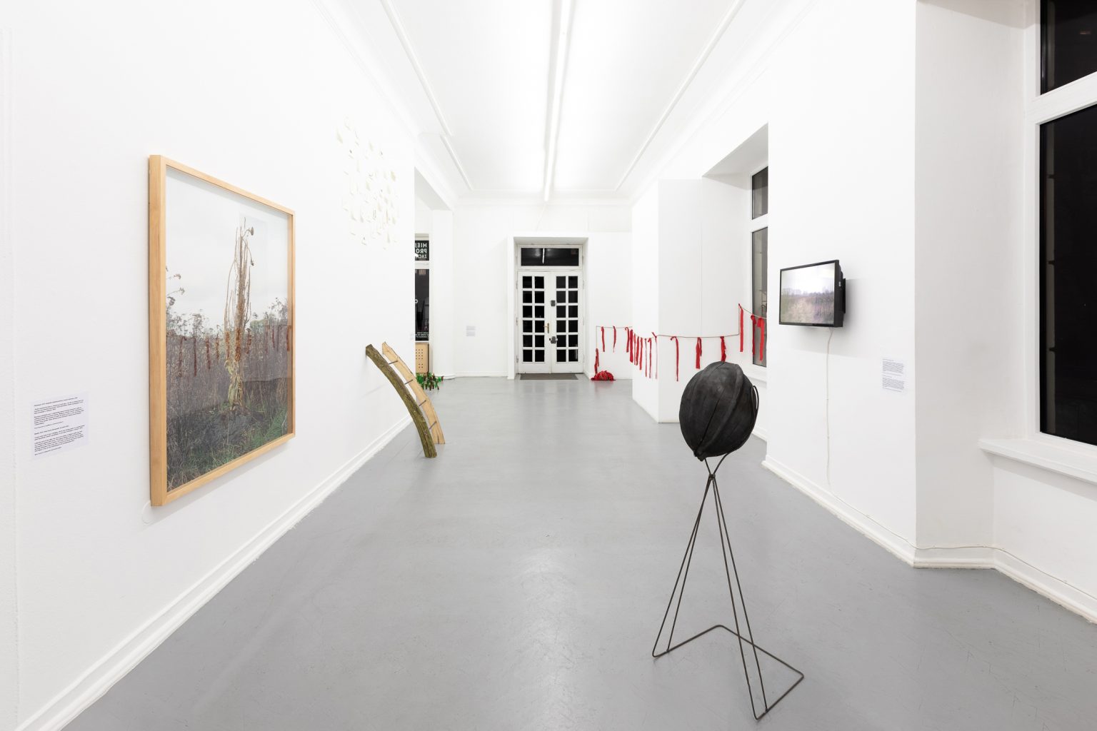 A.Siekierska, Chwasty i ludzie, wystawa 2020