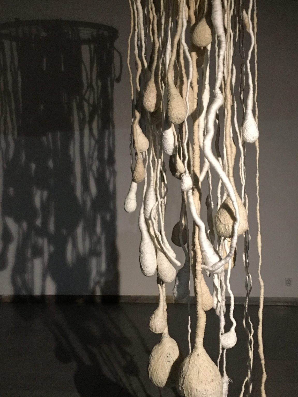 U.Święcicka, principium vitae, 2020