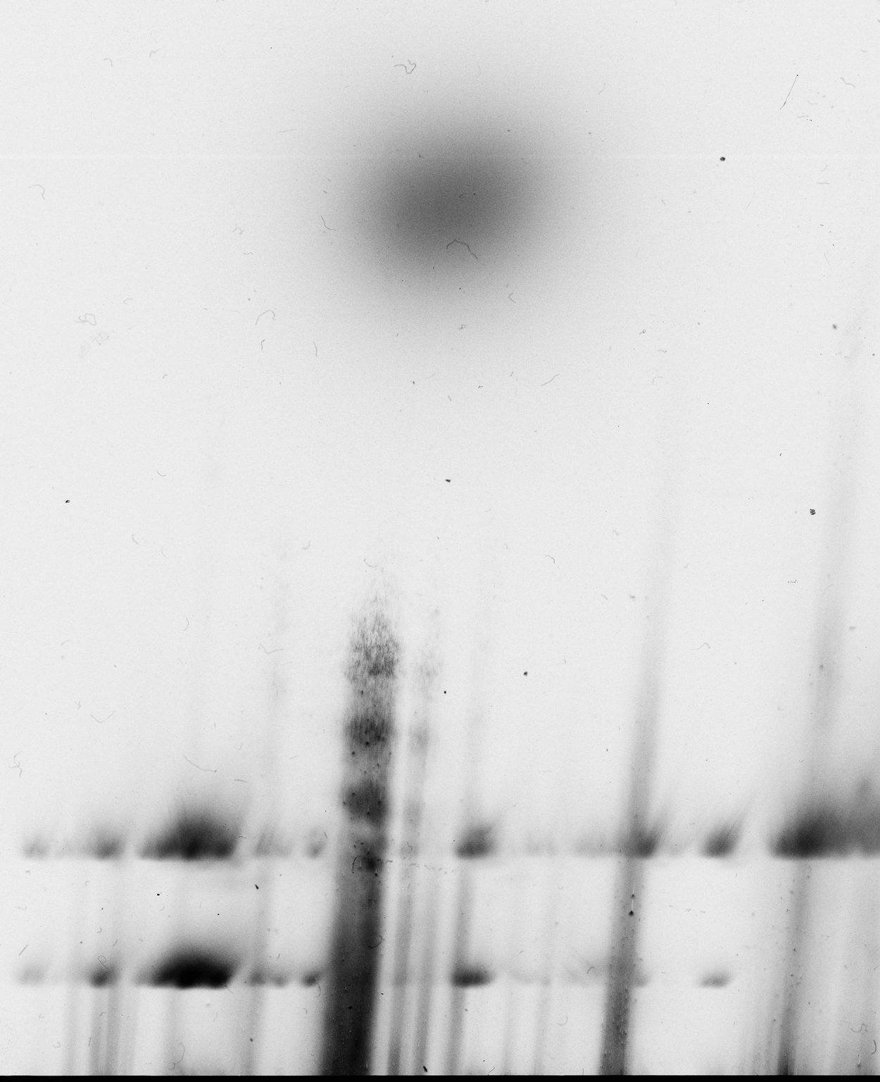 E.Łuczak, Radioaktywnosc, fotografia analogowa, 2020