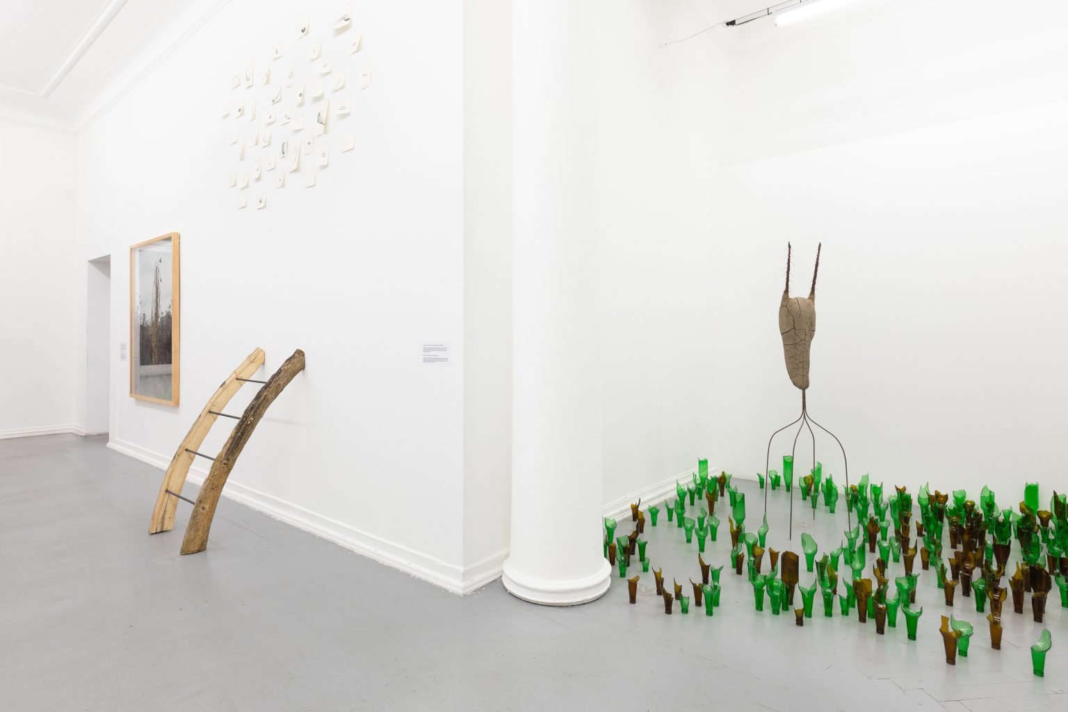 A.Siekierska, Chwasty i ludzie, wystawa, 2020