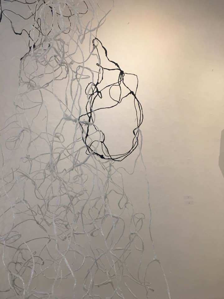 U.Święcicka, akrecja, 2019