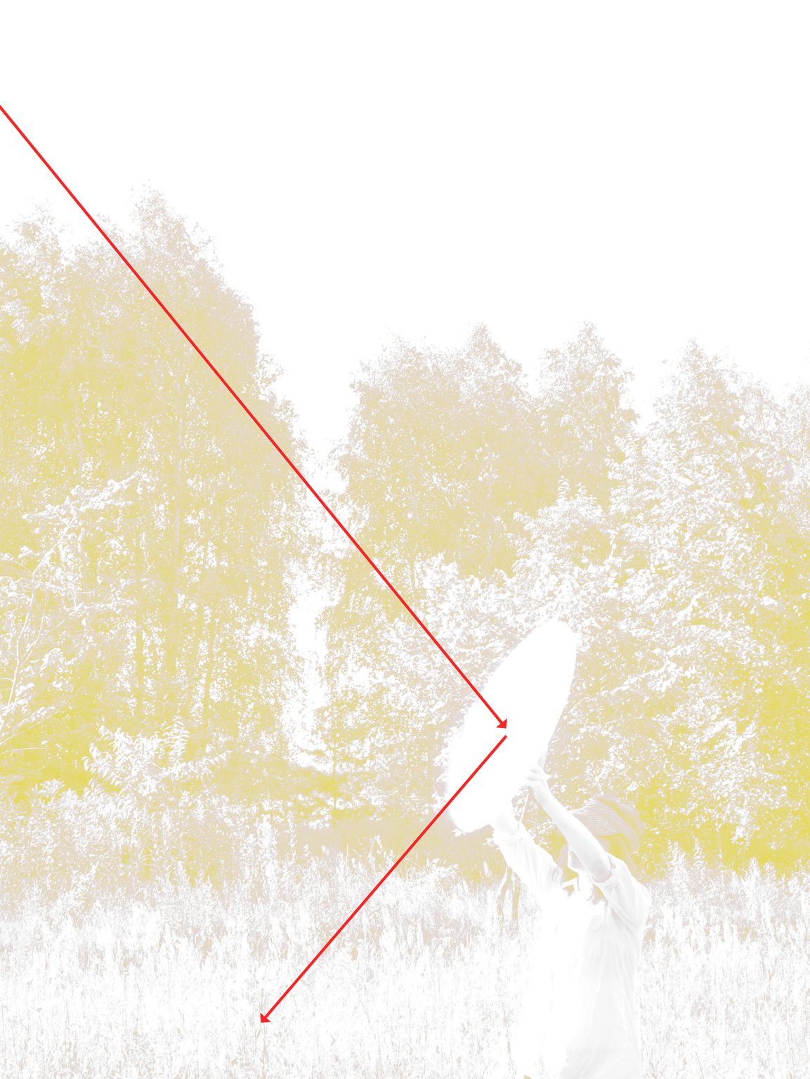 E.Łuczak, O Slońcu Na Ziemi, fotografia cyfrowa, 2020