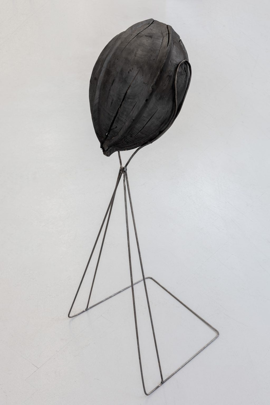 A.Siekierska, Lipa, 2019