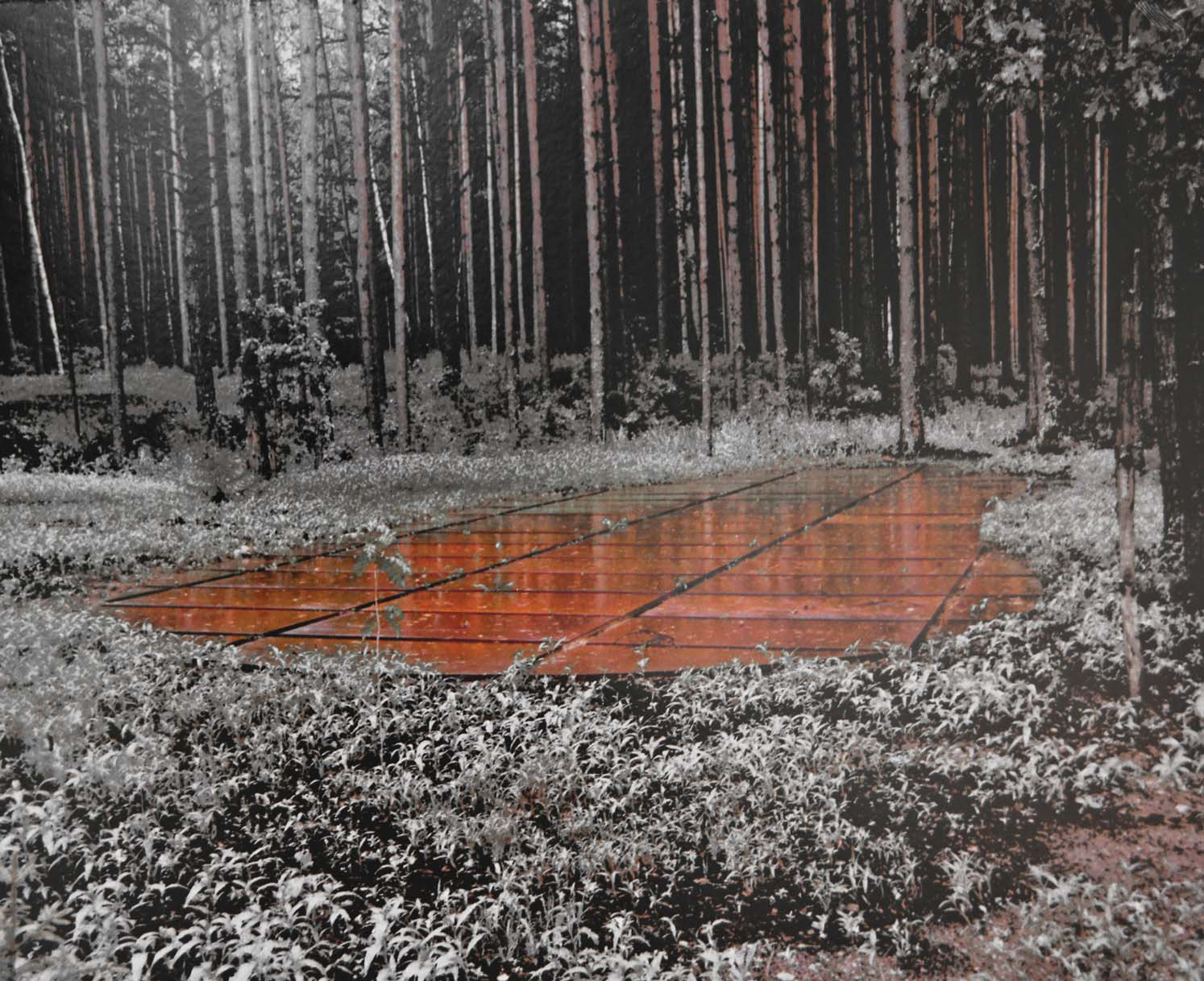 A.Sołyga, Polskie Cmentarze Wojenne w Katyniu - Miednoje - Charkowie, 2000