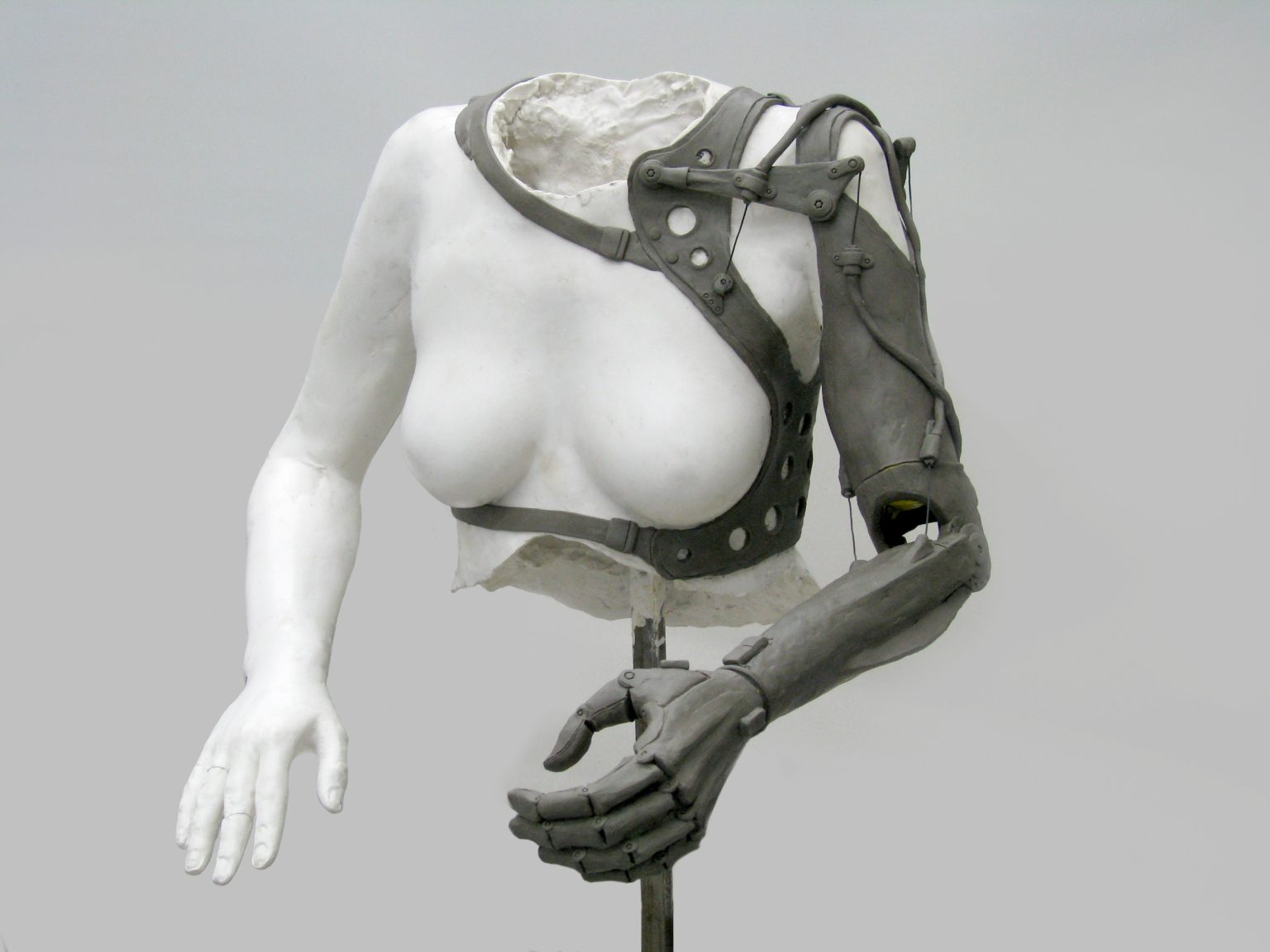 A.Kokosza, projekt społeczny RZEŹBA DLA RZEŹBIARKI, 2015-2020, fot. Agnieszka Krassowska