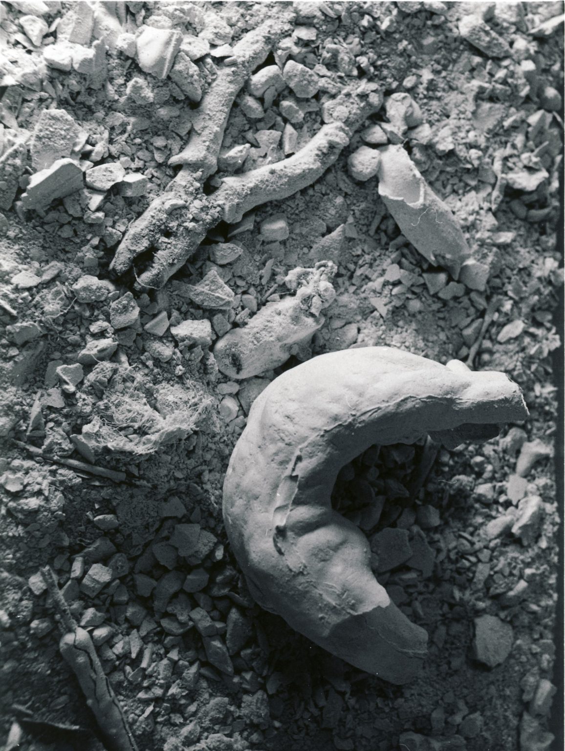 P. Mysera, STUDIUM JOGINA, obiekt, 2004, fot. P. Mysera