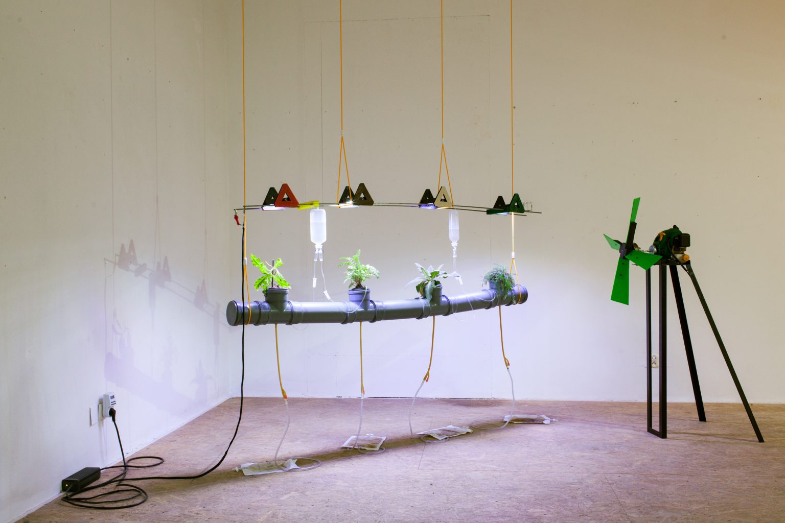 A.Siekierska, Przeciąg, żyjąca instalacja, 2019