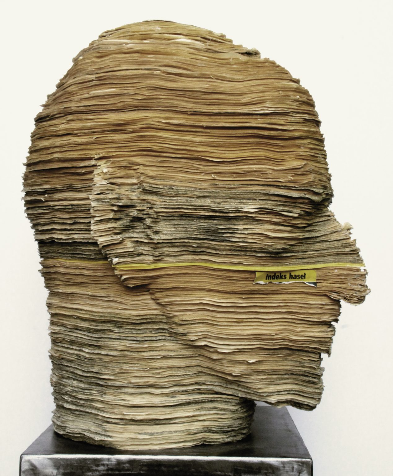 Hanna Jelonek, Indeks Hasel,Cykl Identyfikacje, 1995