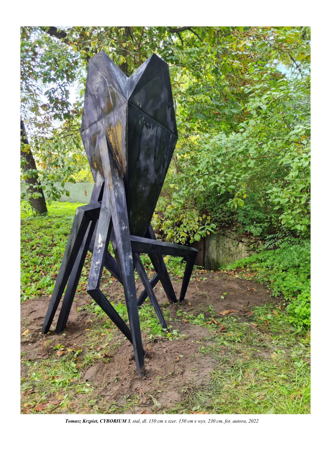 Rzeźba jest geometrycznym, futurystycznym sarkofagiem, który stoi na wielu nogach. To naczynie na życie, które uratuje przed nieznanym kataklizmem. Kompozycja rzeźbiarska w kolorystyce czerni i stali.