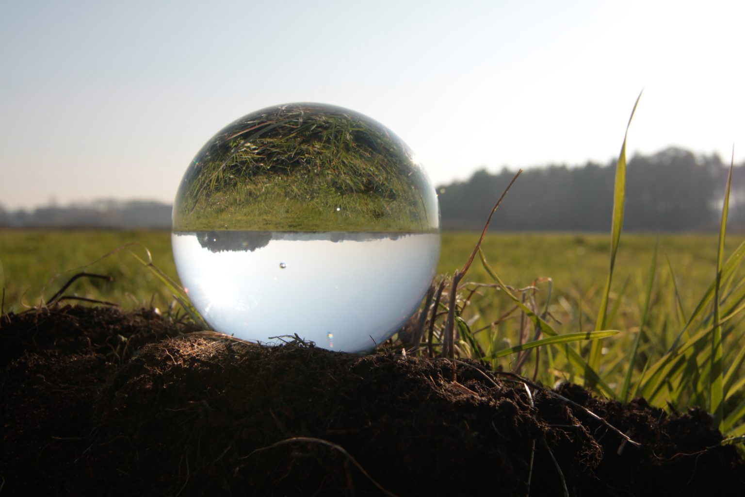 Rz. w Arch. P. Mysera, 2011, J. Kacperski III r. W POLU WIDZENIA, plener w Dłużewie, fot. J. Kacperski