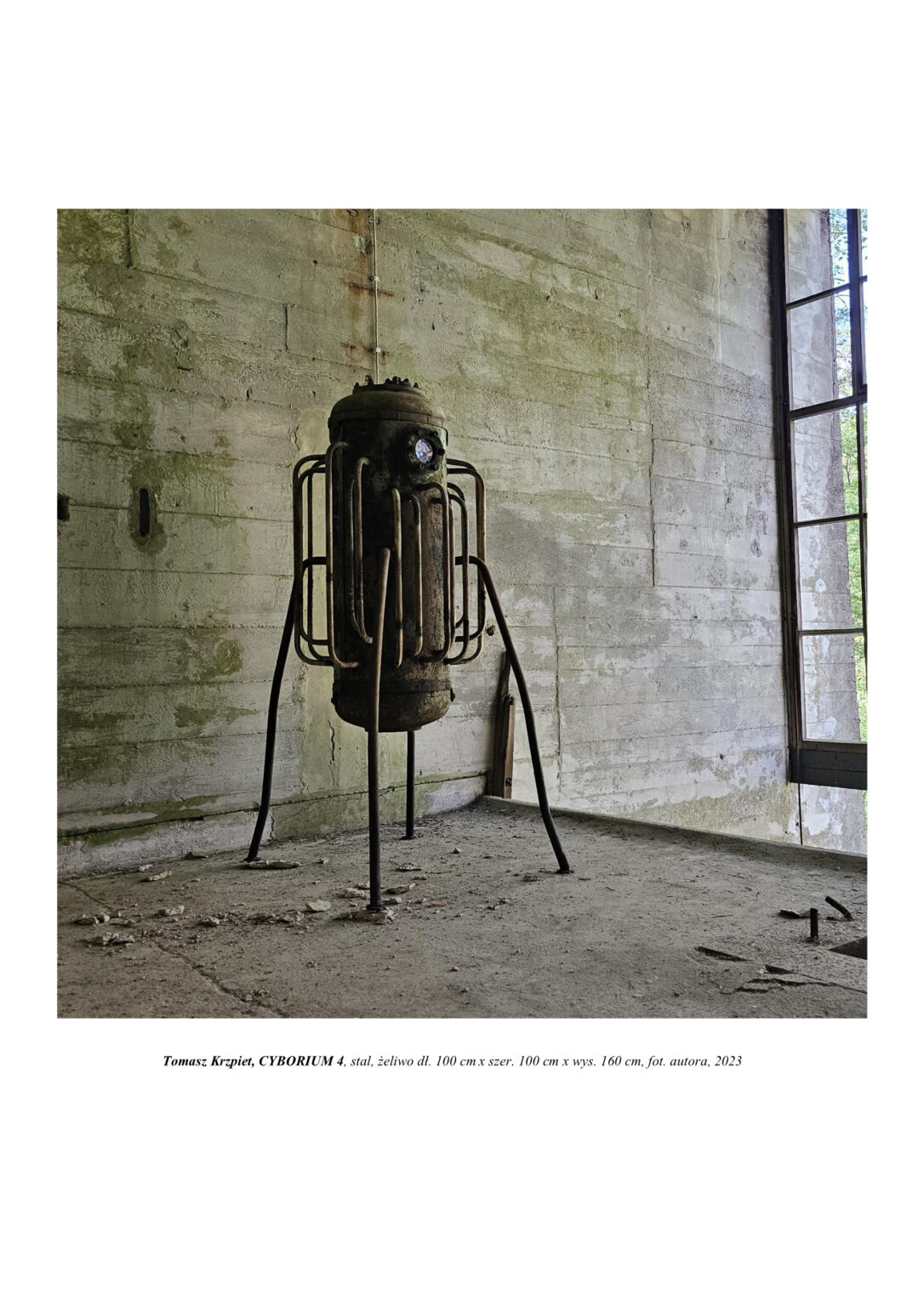 Rzeźba jest zniszczoną stojącą metalową kapsułą z licznymi kablami i rurami. Stoi na czterech nogach z rur. To naczynie na życie, które uratuje przed nieznanym kataklizmem. Kompozycja rzeźbiarska w kolorystyce barw rdzy i stali.