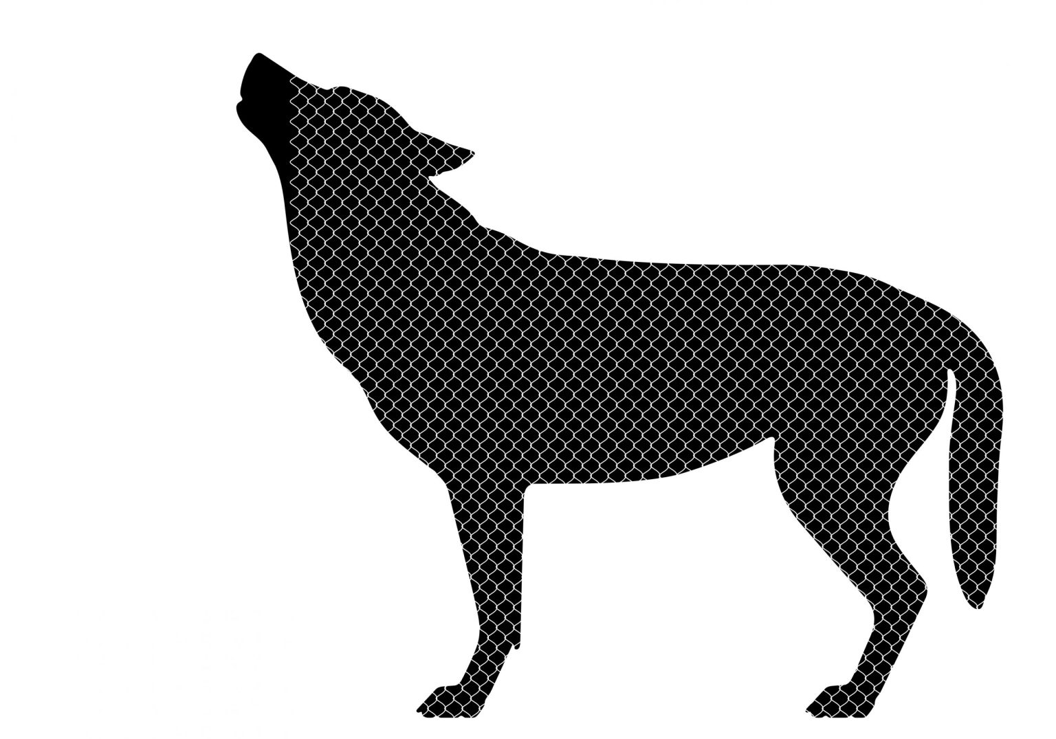 14 Miasto i Las 2017 plakat do wystaw