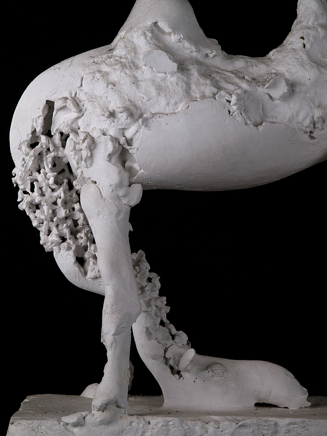 R.Pietrzak, Wielbłąd_fragment, 2012, fot.M.Kalina