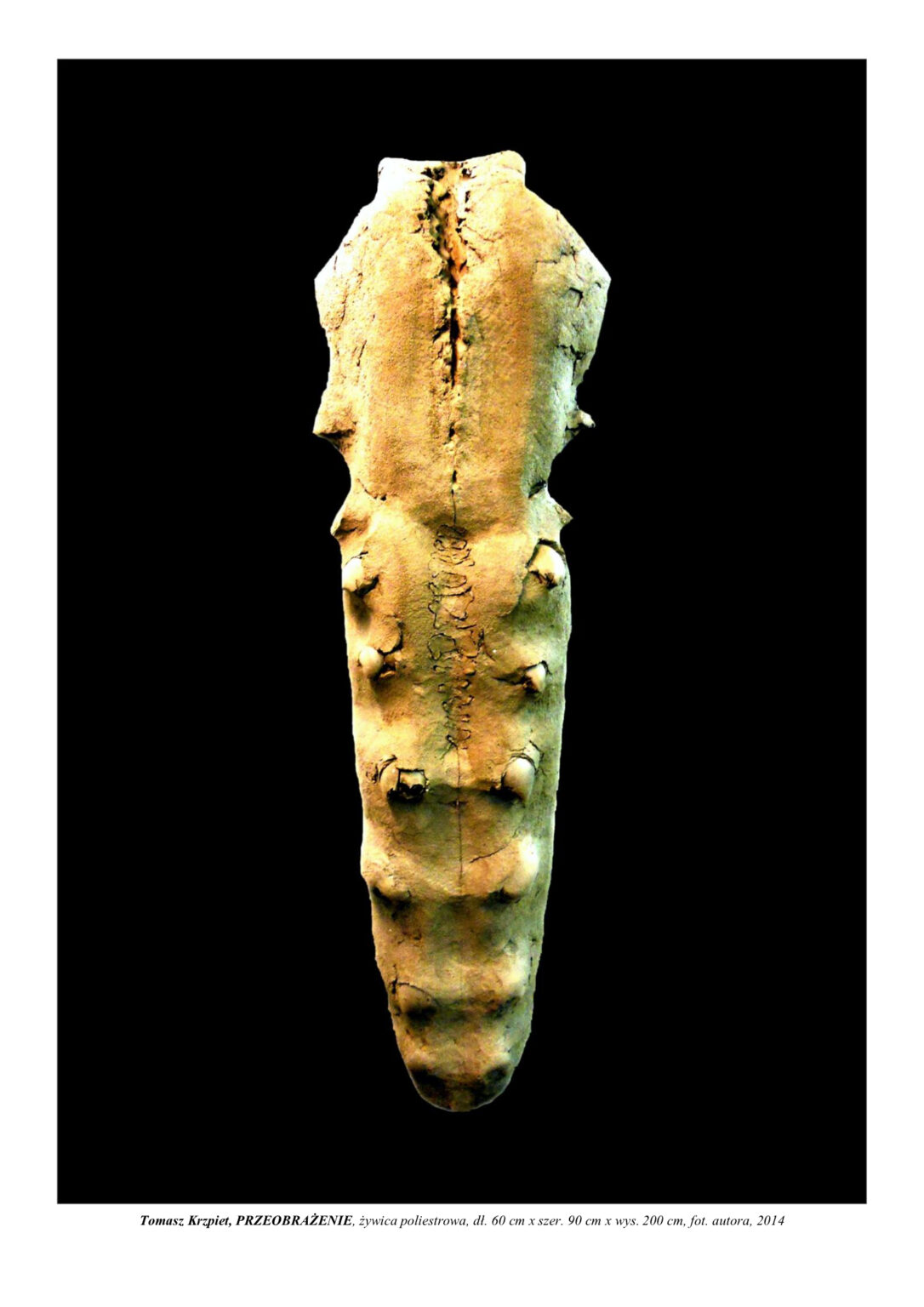 Rzeźba to stojący biologiczny sarkofag, przypominający poczwarę owada z kolcami w kształcie pazurów. To naczynie na życie, które uratuje przed nieznanym kataklizmem. Kompozycja rzeźbiarska w kolorystyce barw ziemi