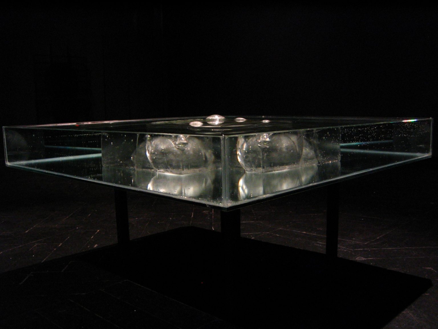 G.Witek, „MYŚL”, szkło, woda, gencjana, wys. bez podstawy 8 cm, szer. 60 cm, 2008