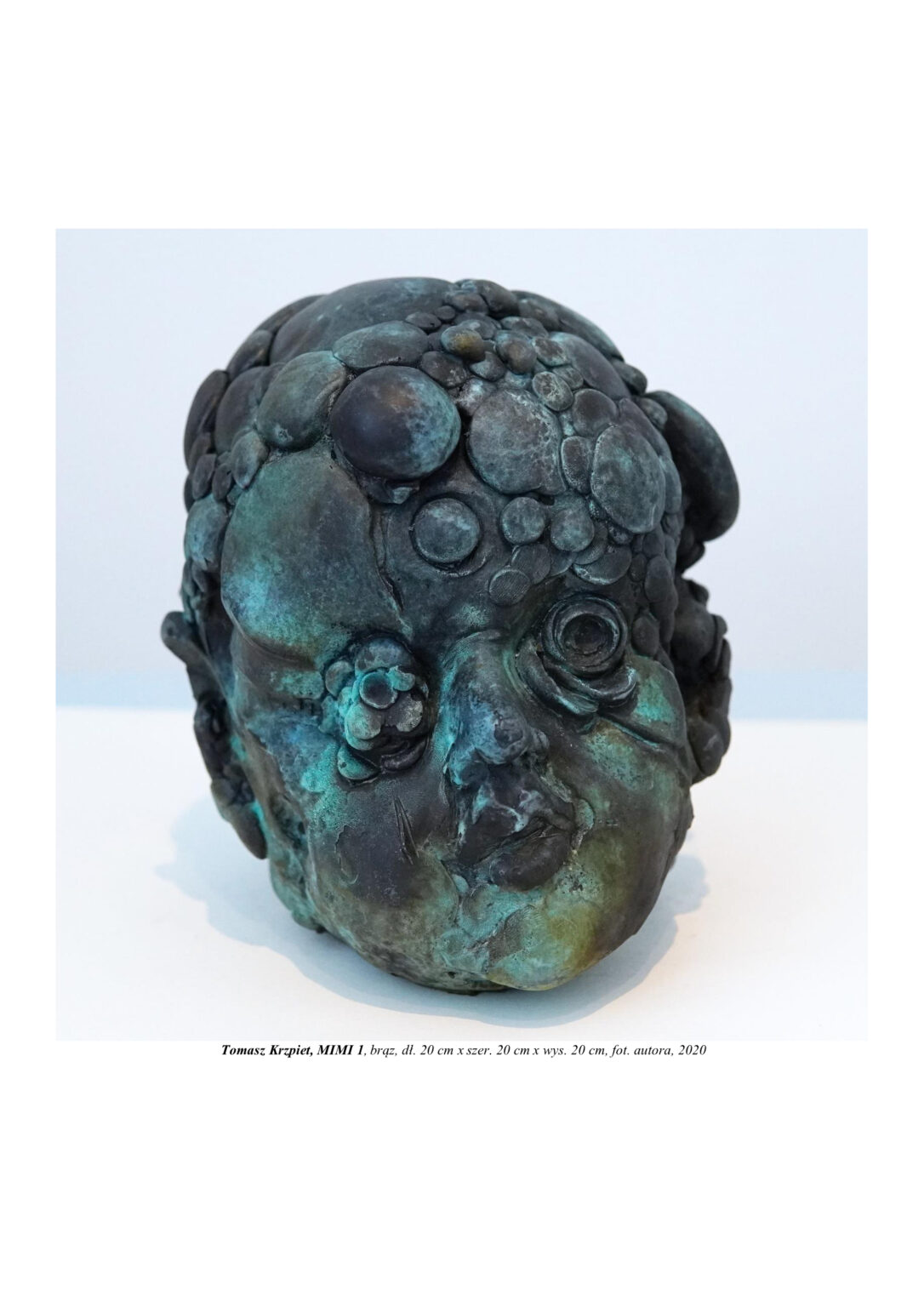 Portret rzeźbiarski (głowa) chłopca zbudowanego z atomów, kulistych molekuł. Tworzy się poprzez pączkowanie. Kompozycja rzeźbiarska w kolorystyce czerni, błękitu i zieleni.