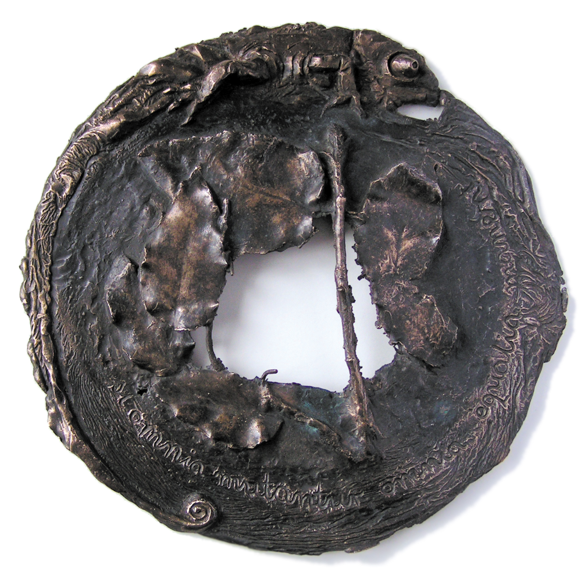 U.Święcicka, kameleon, 2009