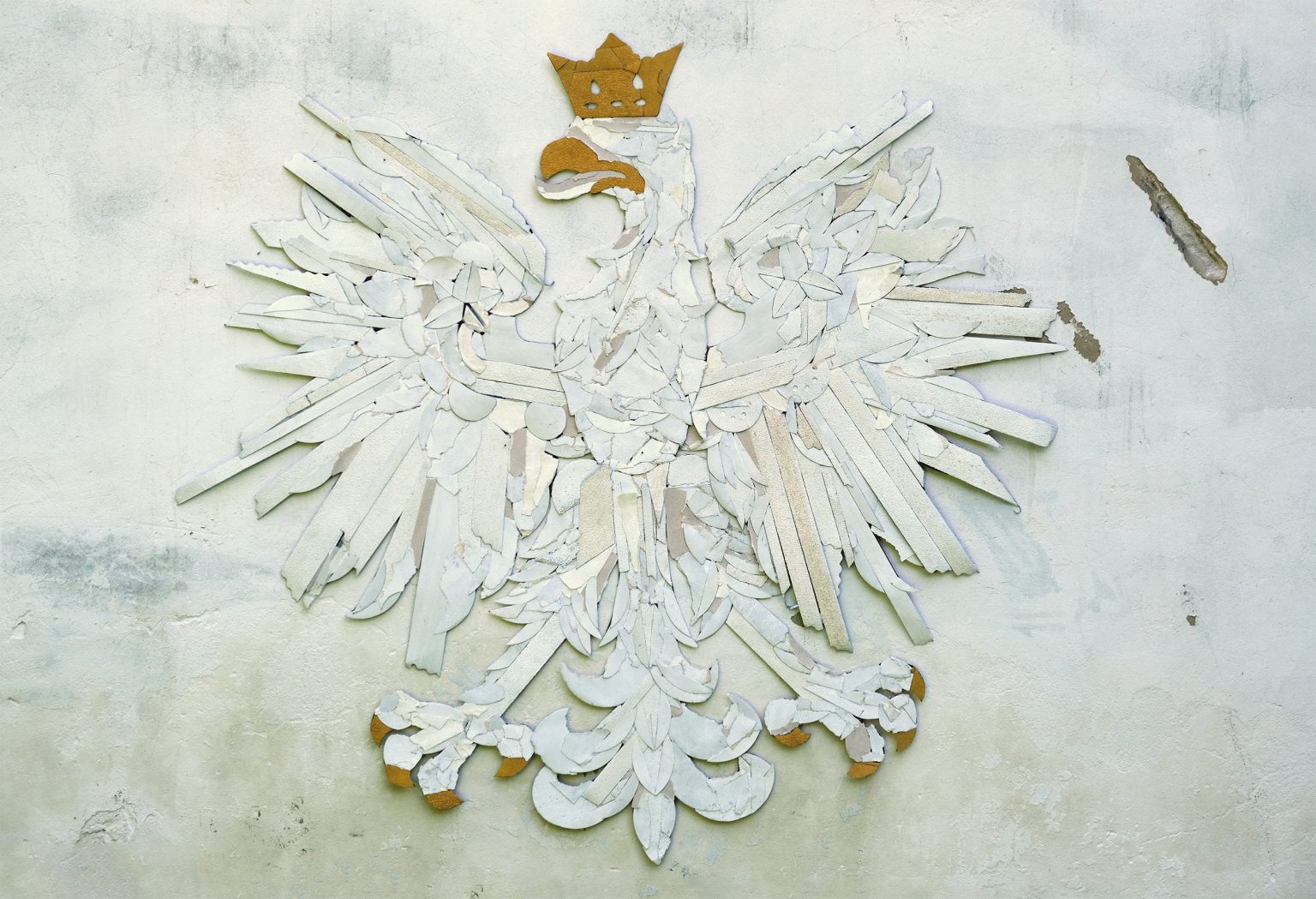 K.Szarek, Orzeł polski, 2018, fot.G.Jaworski