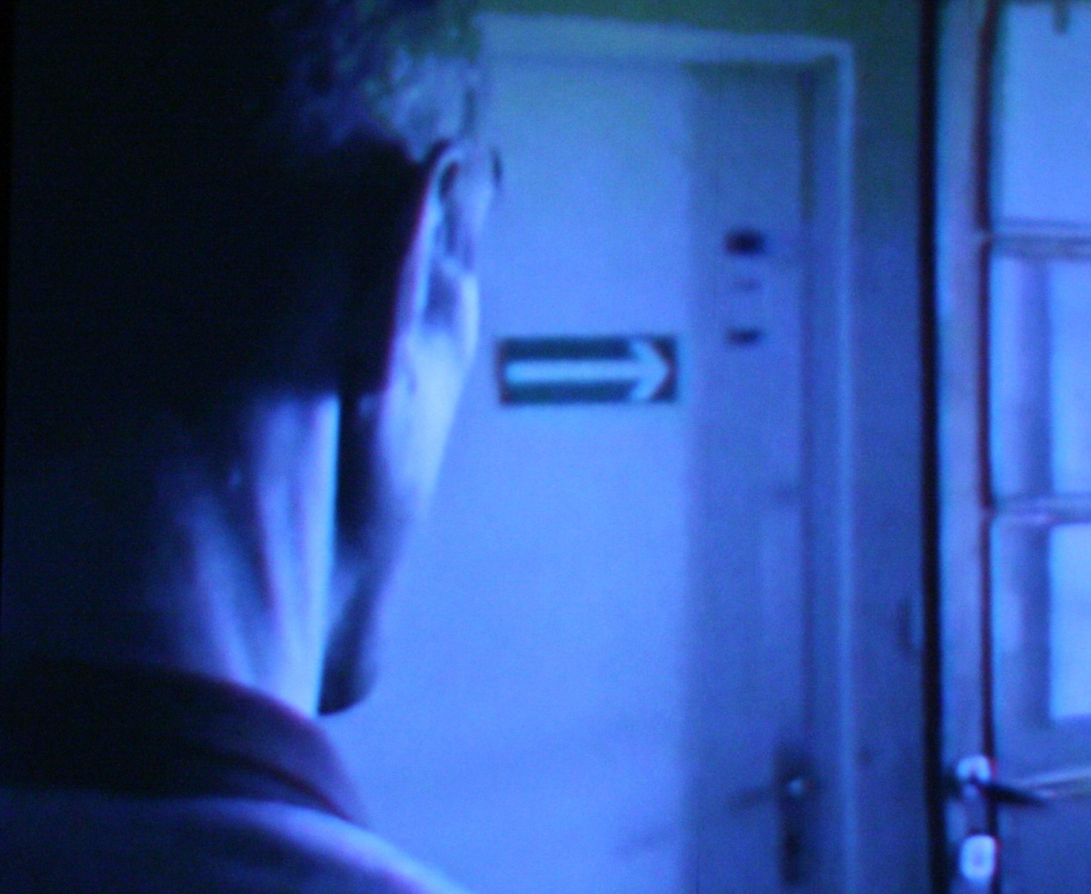 P. Mysera, PRZYPADEK MIRKA J. wideoinstalacja, 2009