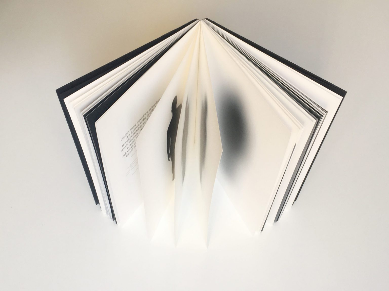 Pola niewidzenia 2017 Galeria 21 Gramów DK Kadr, Warszawa Wystawa, książka – wizualnie o niewidzeniu