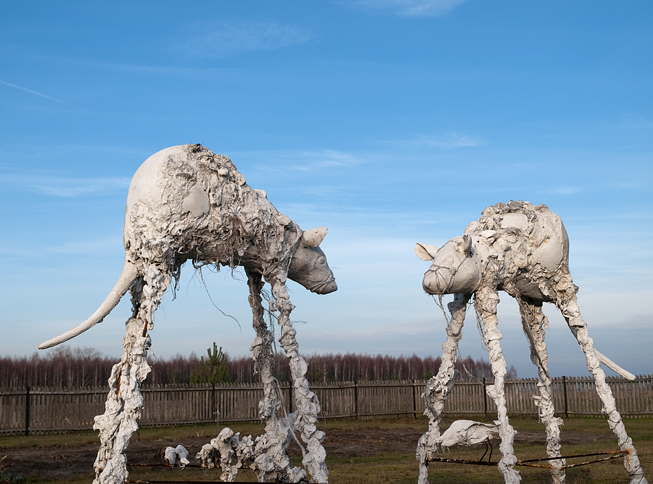 R.Pietrzak, Szczury II, 2011, fot.M.Kalina