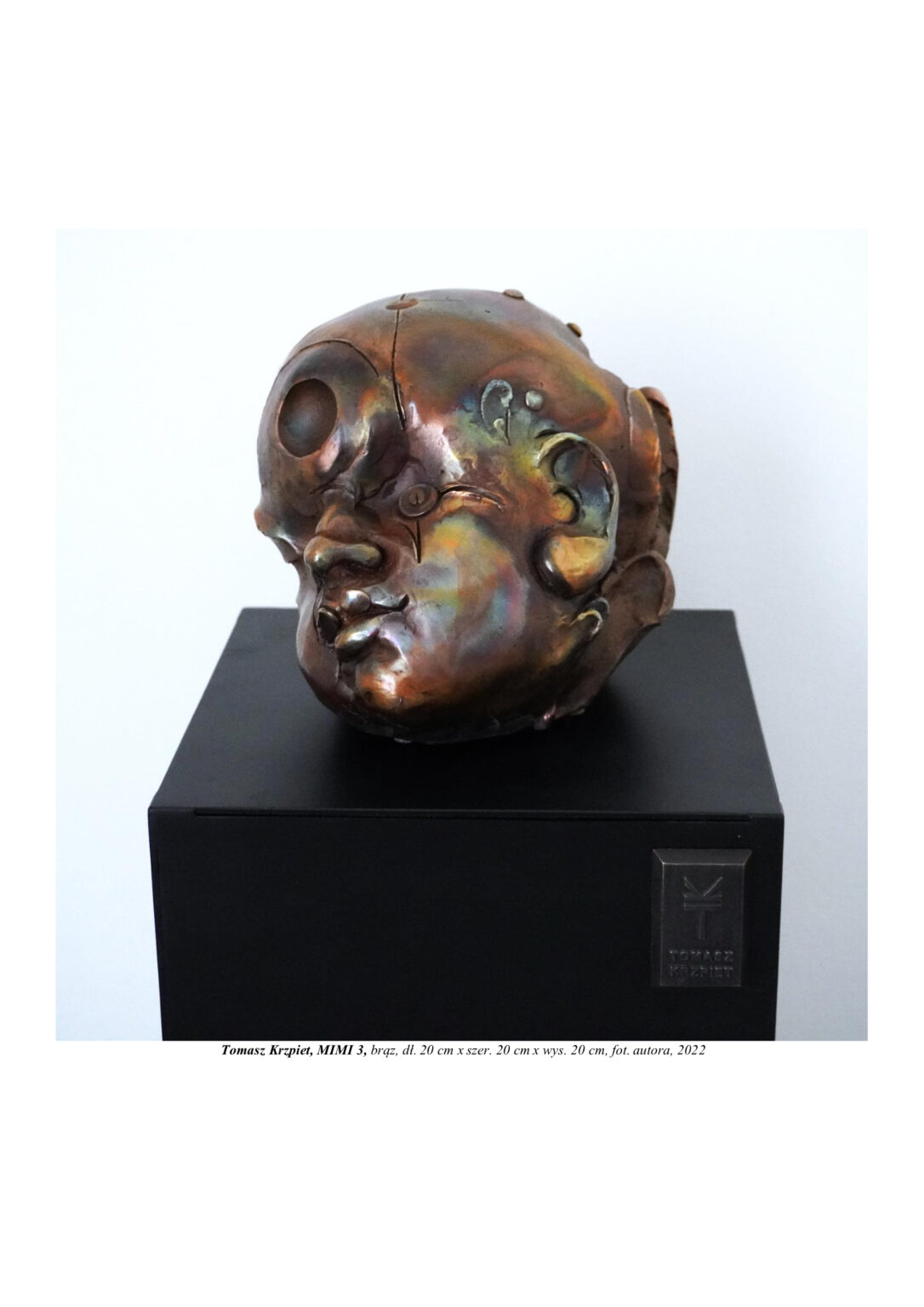 Portret rzeźbiarski (głowa) chłopca zbudowanego z atomów, kulistych molekuł. Tworzy się poprzez pączkowanie z przewagą gładkich wypolerowanych płaszczyzn. Kompozycja rzeźbiarska w kolorystyce złota, błękitu i zieleni.