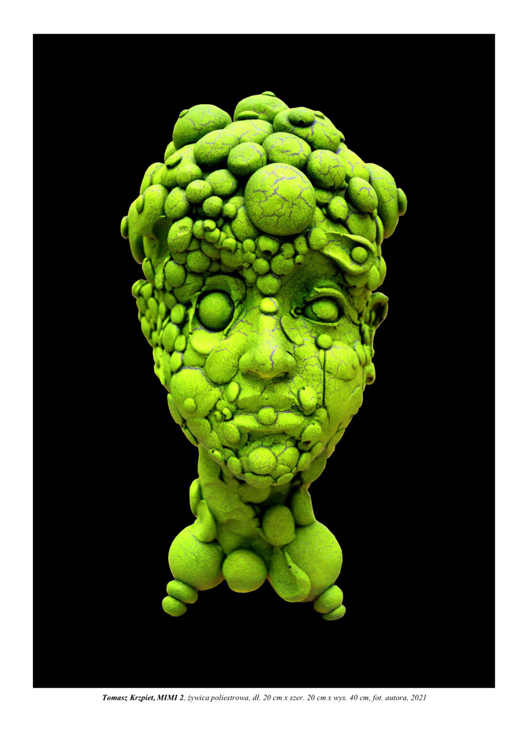 Portret rzeźbiarski (stojąca na szyi głowa) chłopca zbudowanego z atomów, kulistych molekuł, tworzy się poprzez pączkowanie. Kompozycja rzeźbiarska w kolorystyce zieleni.