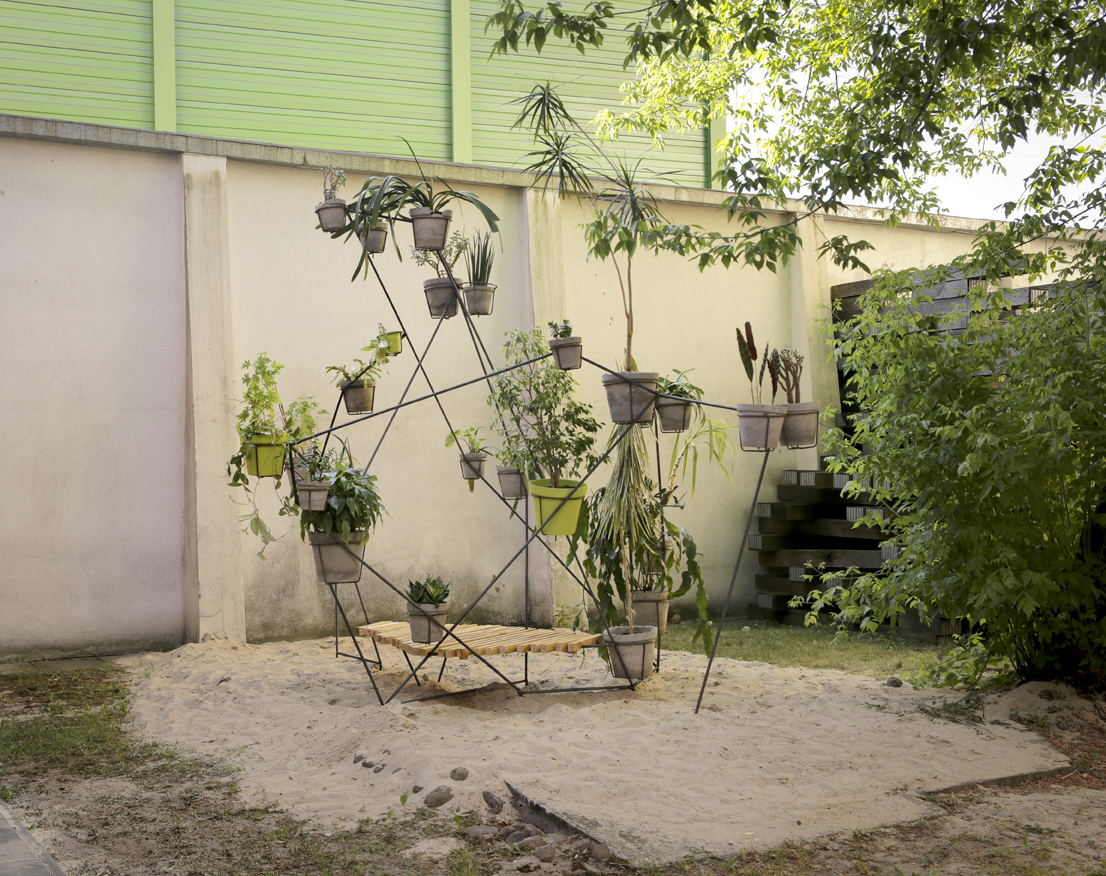 A.Siekierska, Fikus, żyjąca instalacja, 2017