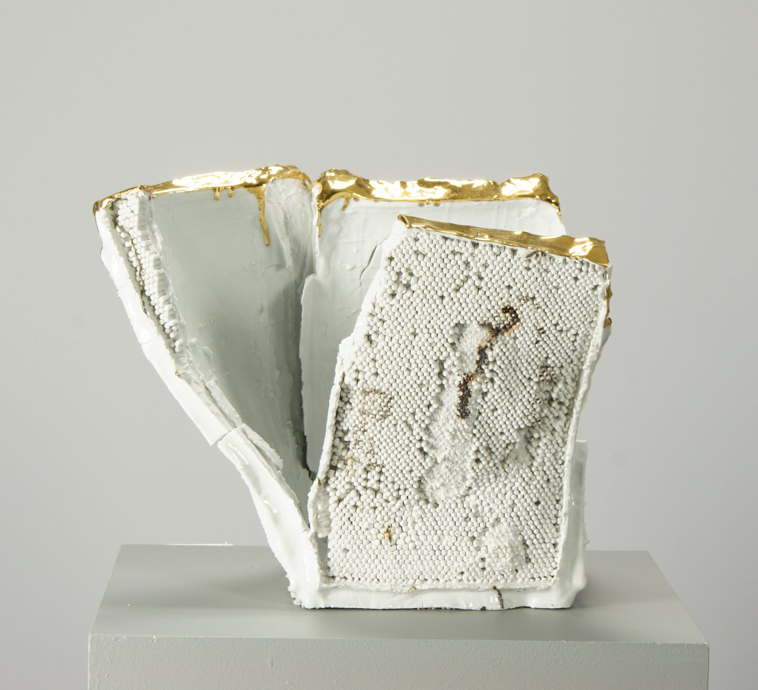 S.Brach, Apimondia 2017 Złoty medal - Istambuł Turcja 2017