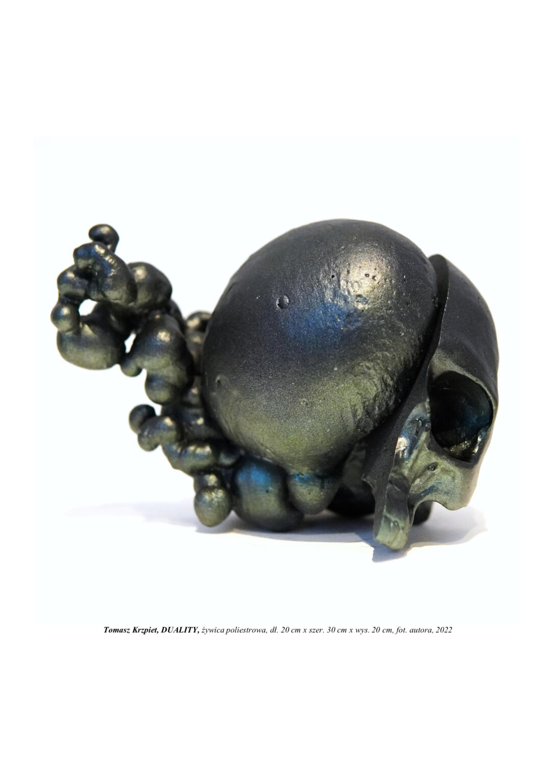 Kompozycja rzeźbiarska przypomina głowę ludzką. Z prawej strony to pół czaszki przeciętej pionowo przez środek, a z jej lewej strony brakująca część stworzona jest z pączkującej organicznej formy. Kompozycja rzeźbiarska w kolorystyce czerni i metalicznej zieleni.