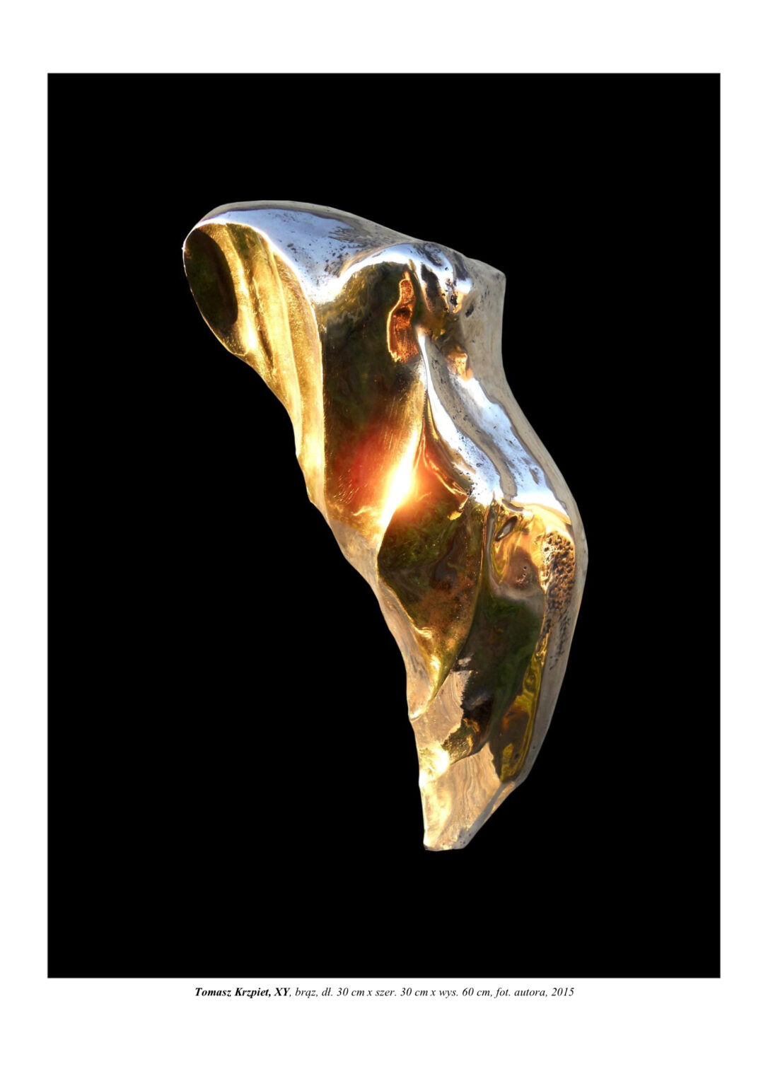 Mała forma rzeźbiarska z wypolerowanego brązu. To syntetyczna poczwara owada, która stoi pionowo na odwłoku. Kompozycja rzeźbiarska w kolorystyce złota.