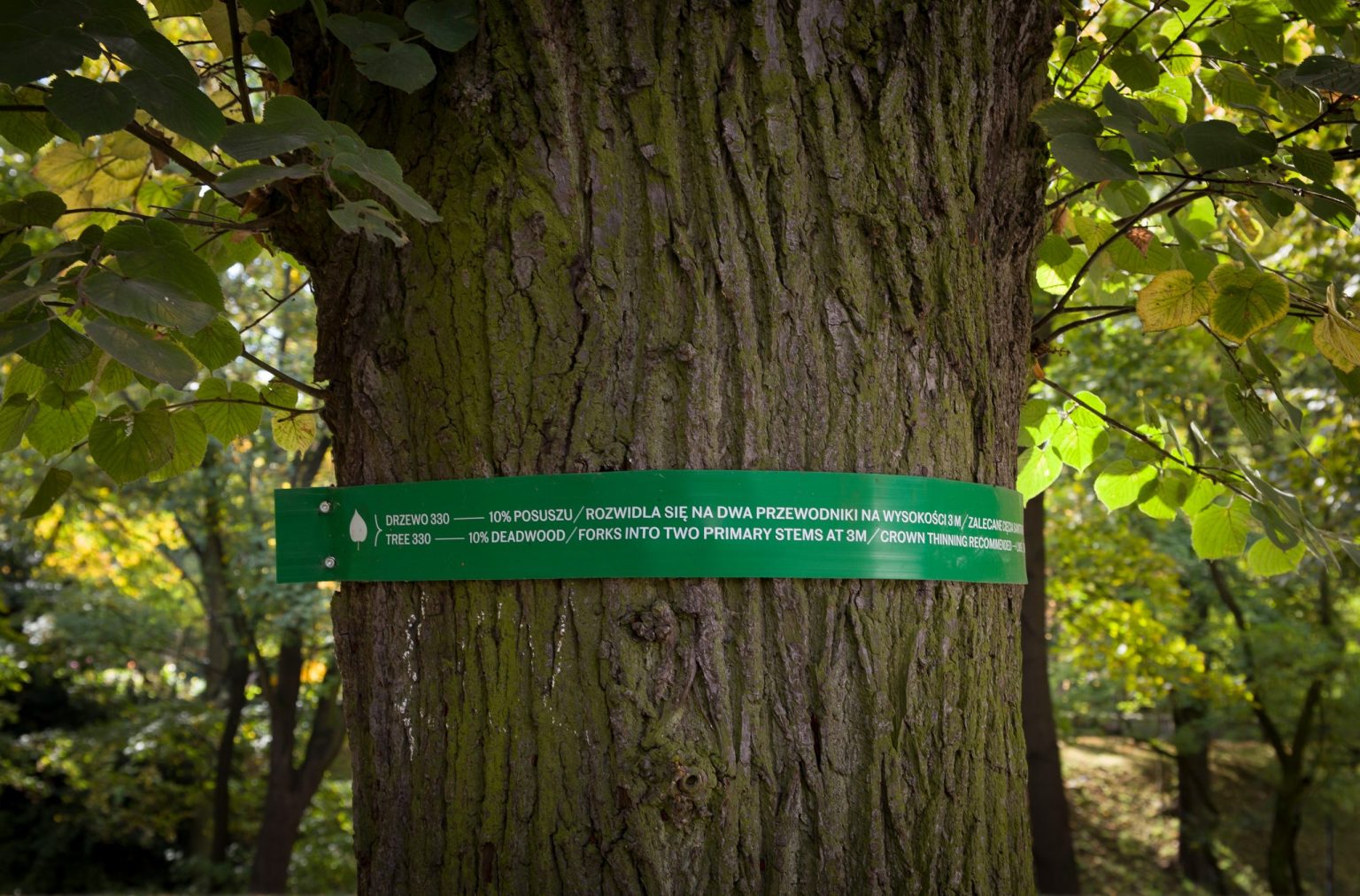 23 Pierśnice, – instalacja – Ogród miejski Jazdów Naturomorficznie, CSW Zamek Ujazdowski w Warszawie, 2018