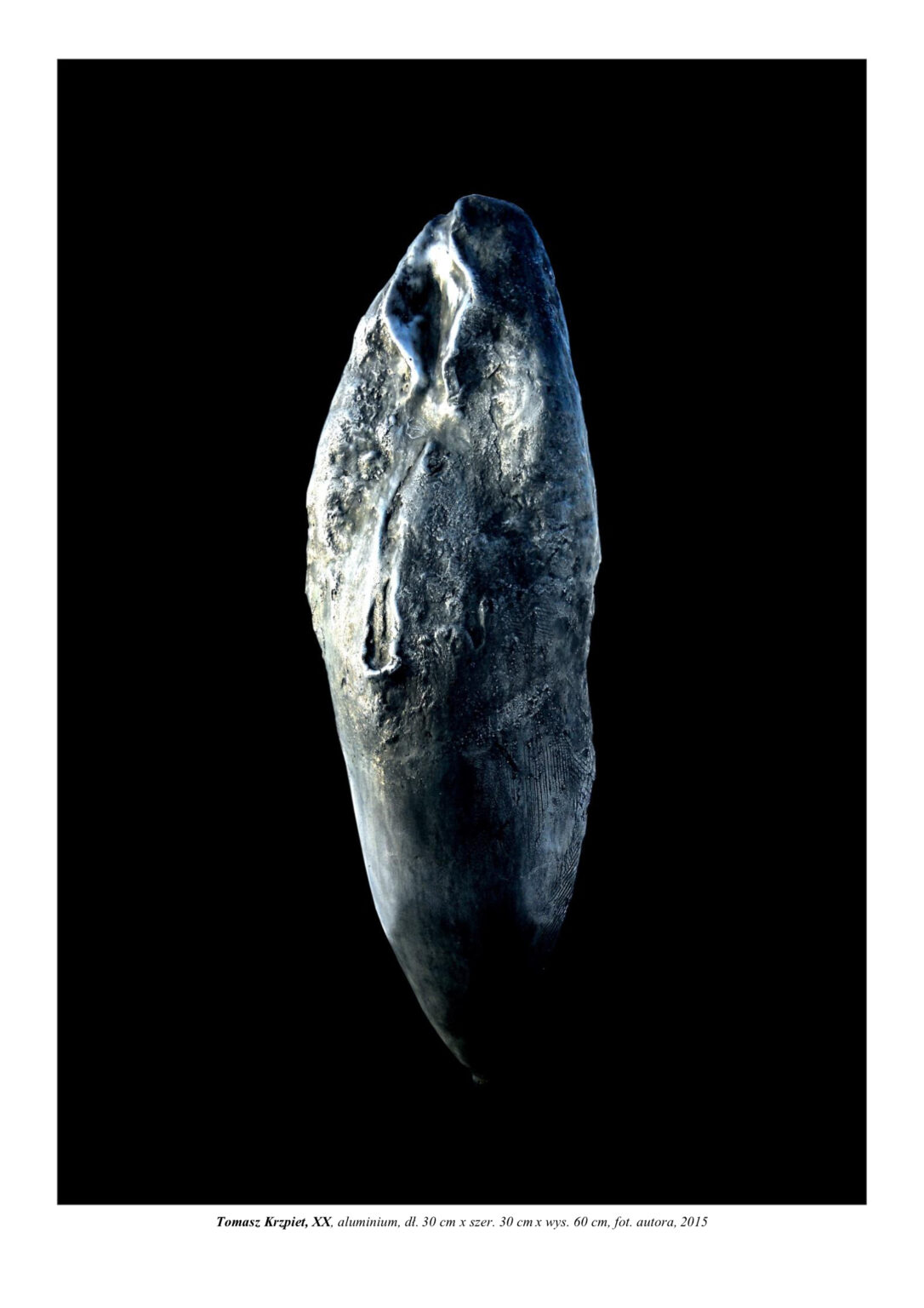 Mała forma rzeźbiarska z wypolerowanego aluminium. To syntetyczna poczwara owada (nawiązuje też formą do nasiona), która stoi pionowo na odwłoku. Kompozycja rzeźbiarska w kolorystyce srebra i czerni.