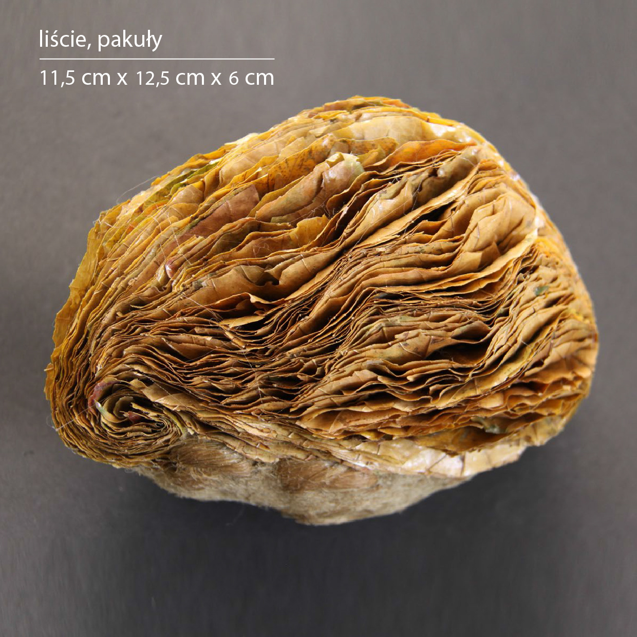 A.Mazurkiewicz,Meteoryt2,mała forma rzeźb,2011