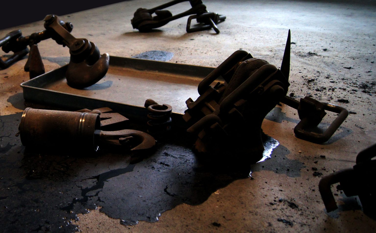 A.Sołyga, Wiśniowy sad z okolic Bełżca, 2019