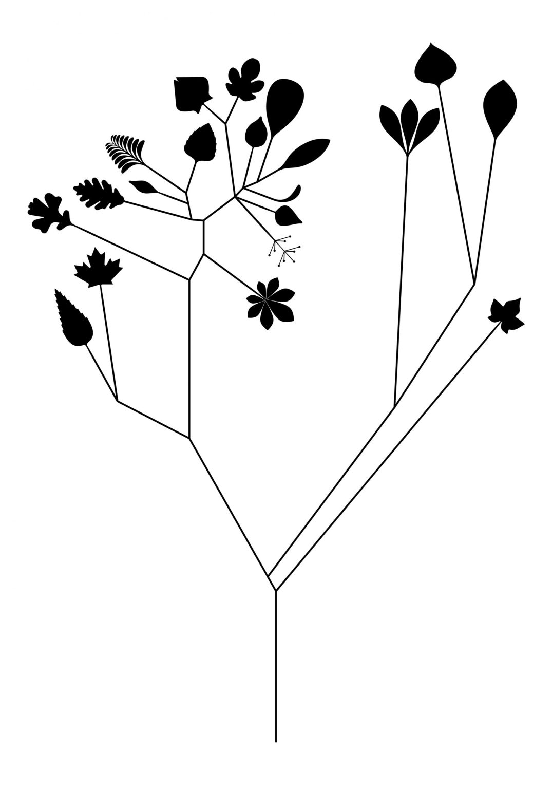 24 Naturomorficznie Ogród miejski Jazdów Naturomorficznie, CSW Zamek Ujazdowski w Warszawie, 2018