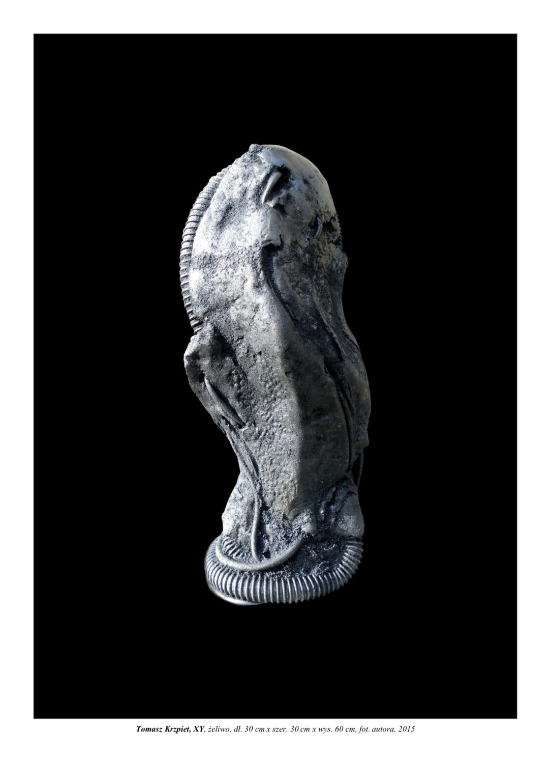 Mała forma rzeźbiarska z żeliwa. To syntetyczna poczwara owada (nawiązuje też formą do nasiona, czy jaja), która stoi pionowo. Ma widoczne wpięte kable i karbowane rurki. Kompozycja rzeźbiarska w kolorystyce zieleni, srebrzystej stali i czerni.