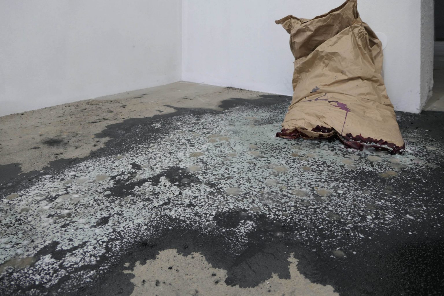 A.Sołyga, Wiśniowy sad z okolic Bełżca, 2019