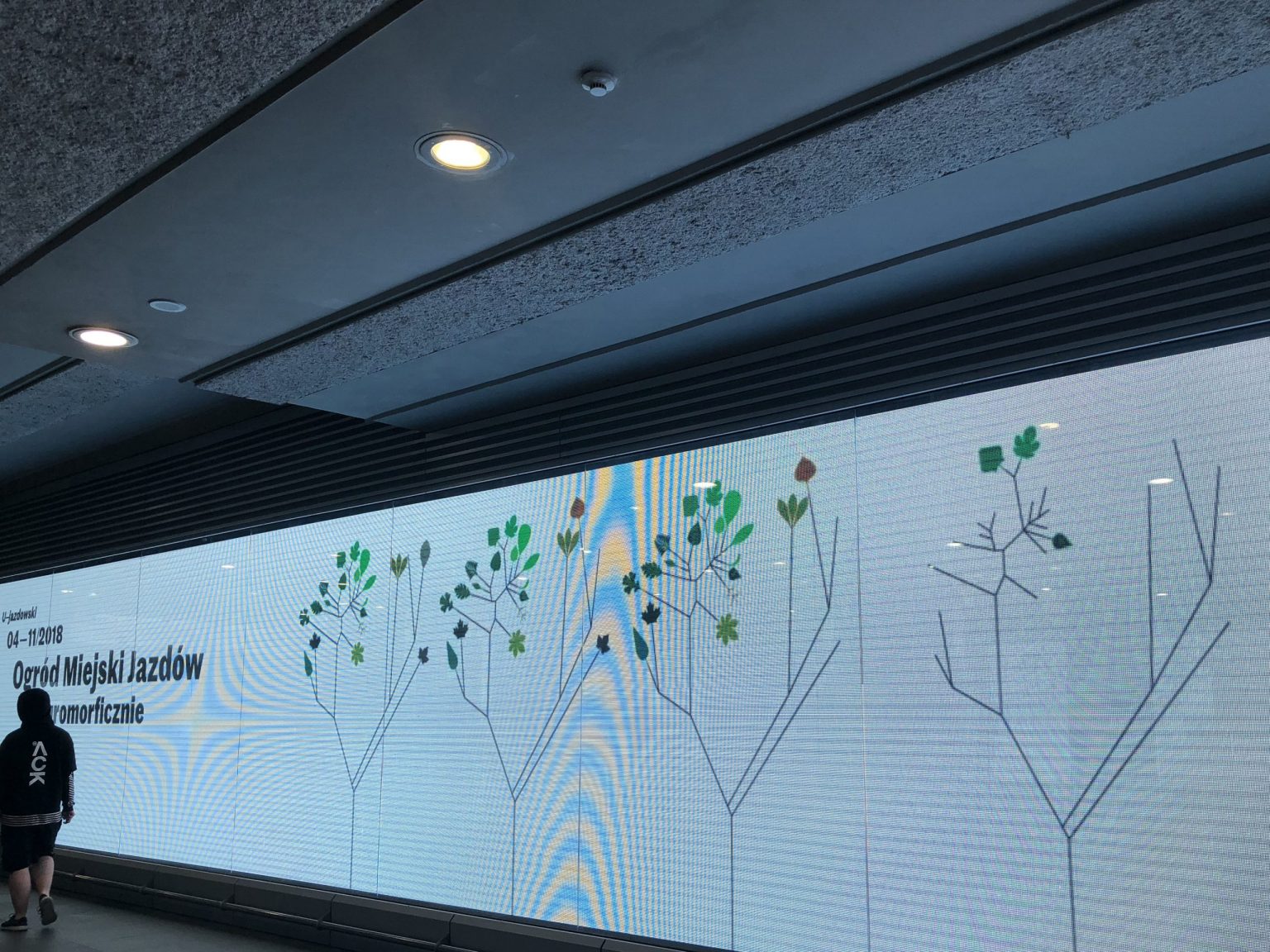 25 Naturomorficznie Ogród miejski Jazdów Naturomorficznie, CSW Zamek Ujazdowski w Warszawie, 2018