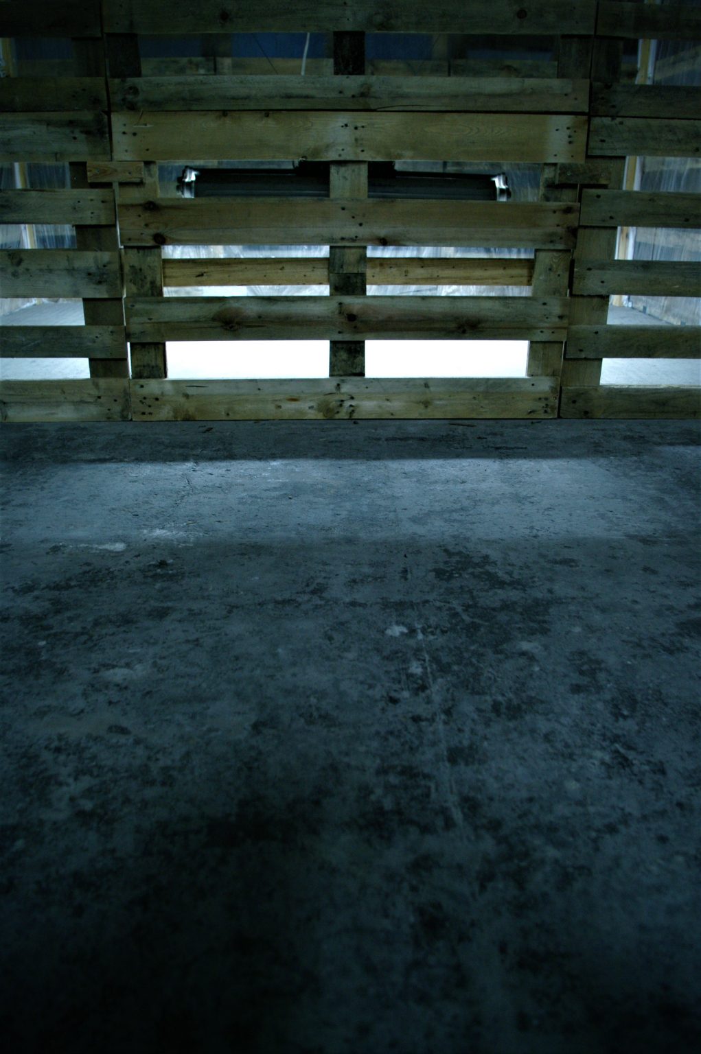 P.Mysera, CHÓW KLATKOWY, instalacja, 2011, fot. P. Mysera