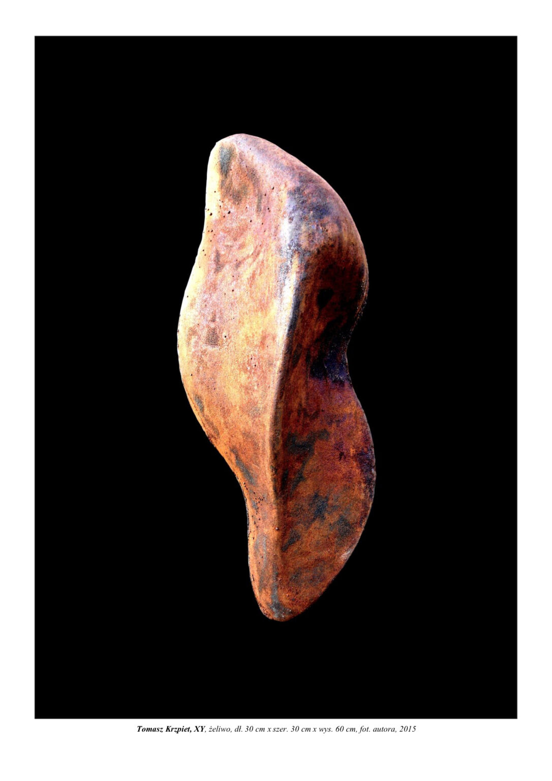 Mała forma rzeźbiarska z żeliwa. To stojąca pionowo syntetyczna poczwara owada. Kompozycja rzeźbiarska w kolorystyce zardzewiałego żeliwa.