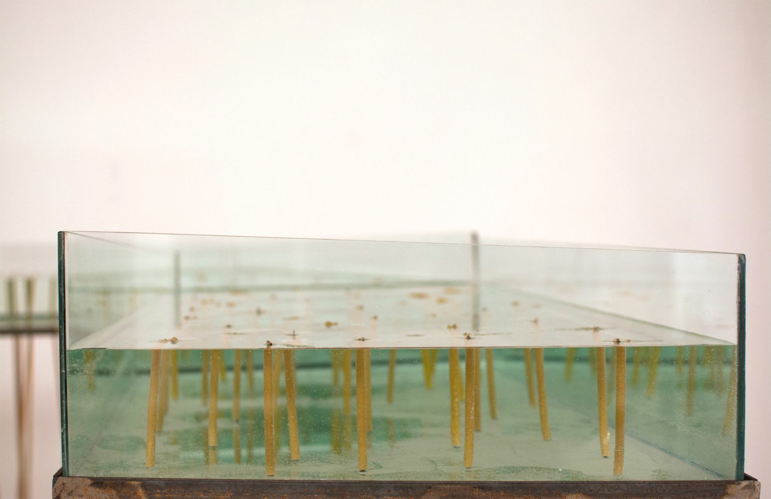 K.Szarek, Dystans, 2018, fot.M.Działek