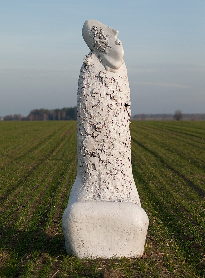 R.Pietrzak, Nostalgia, 2014, fot.M.Kalina