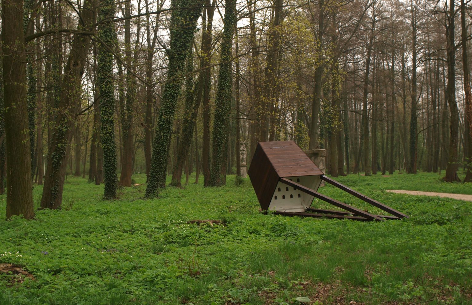 A.Siekierska, Ambona, 2016