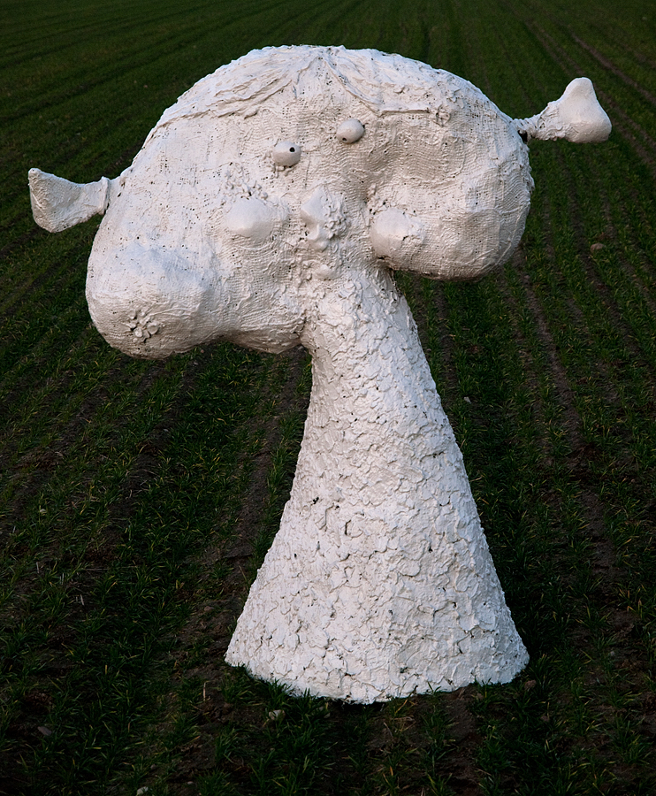 R.Pietrzak, Zezowata dziewczynka, 2014, fot.M.Kalina