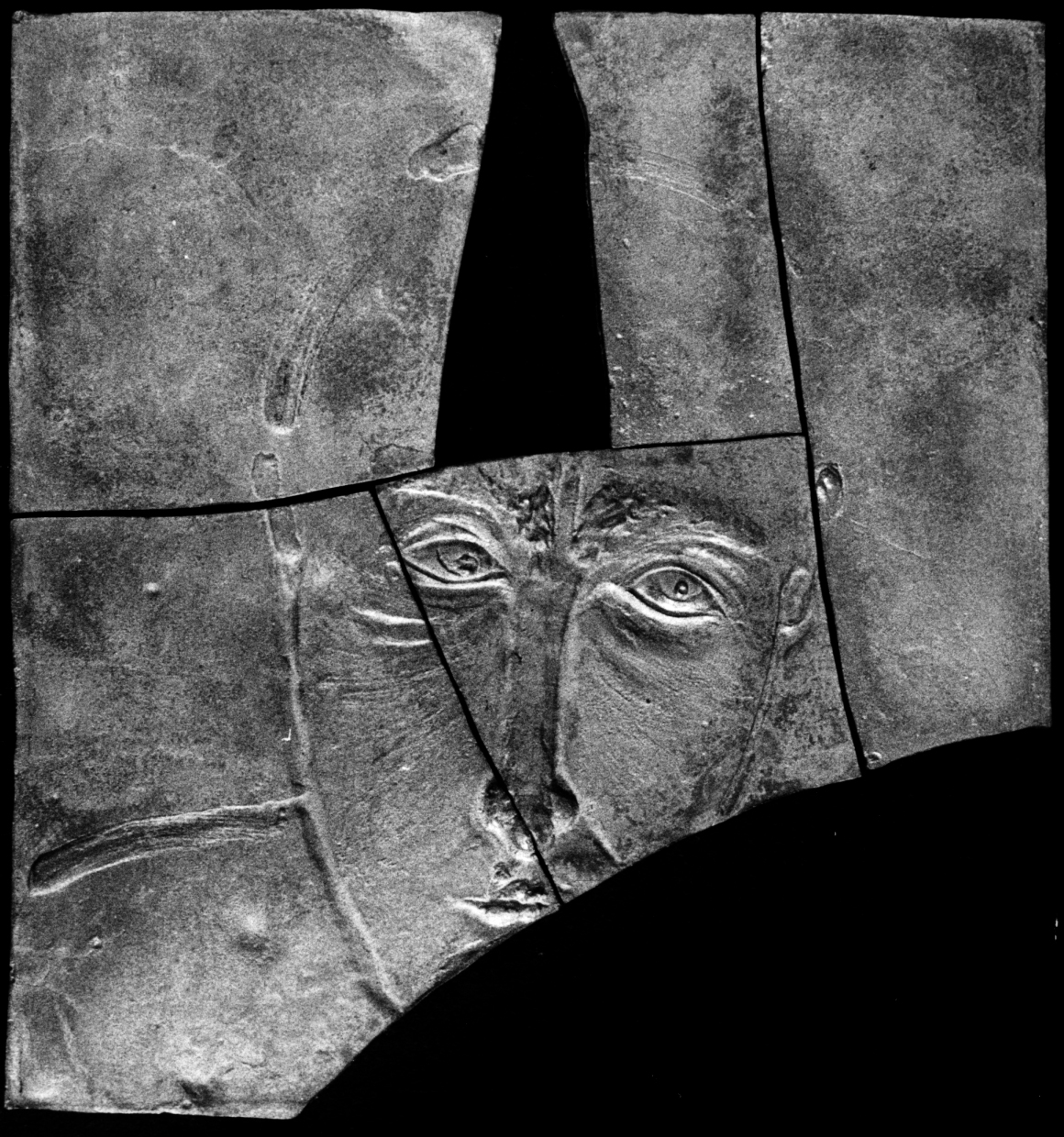 U.Święcicka,Witkacy, 1988