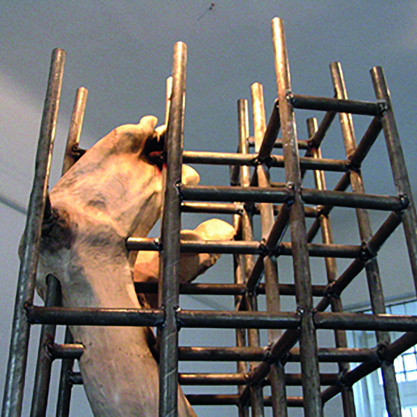 G.Witek, „TOŻSAMOŚĆ” -  fragment