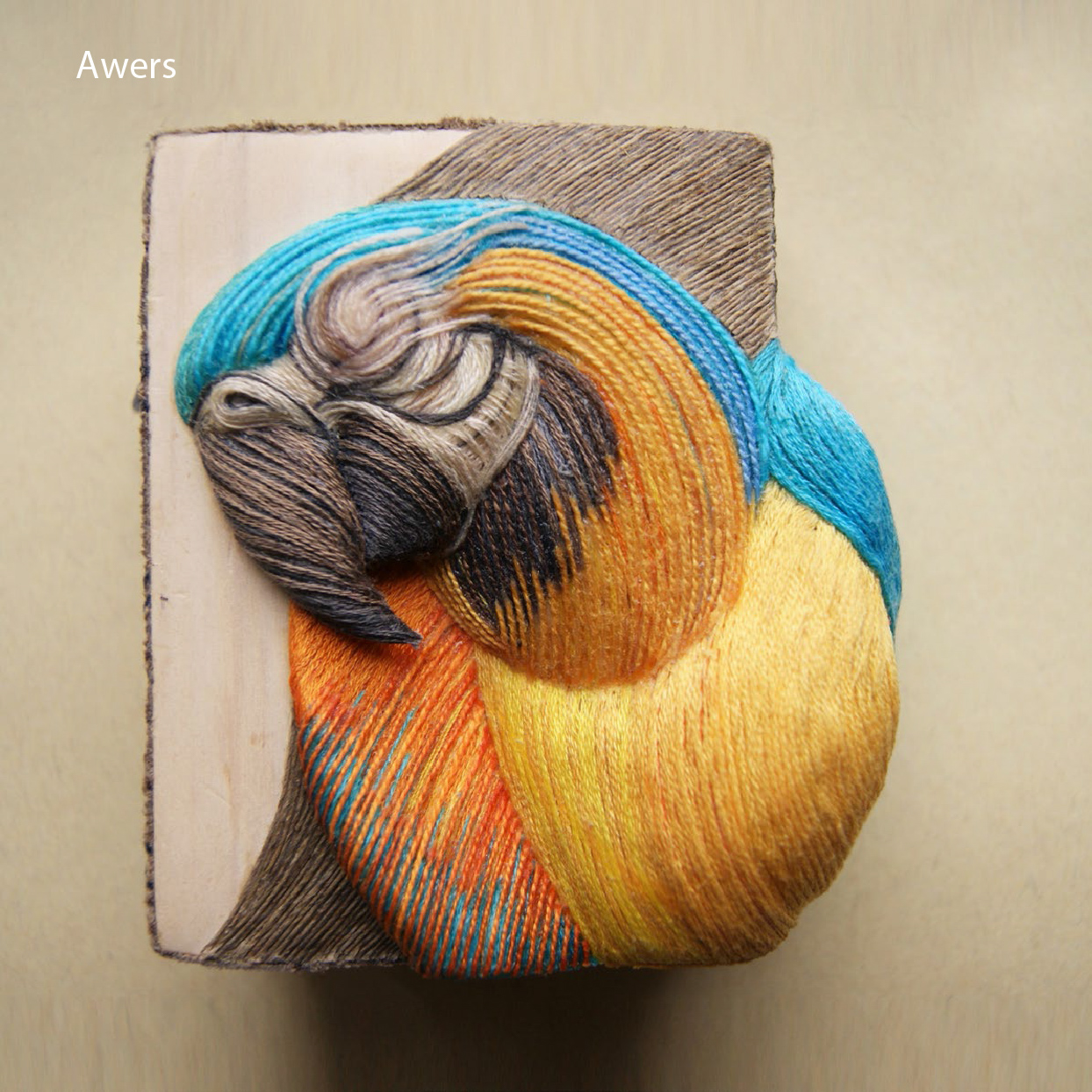 A.Mazurkiewicz,Papuga i wrona,medal,2013