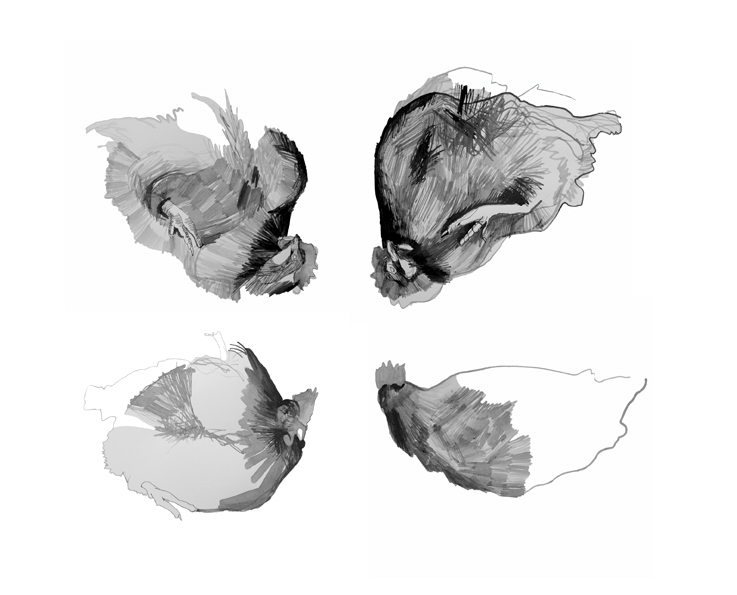 A.Siekierska, Ekstaza św.Teresy, animacja, 2016