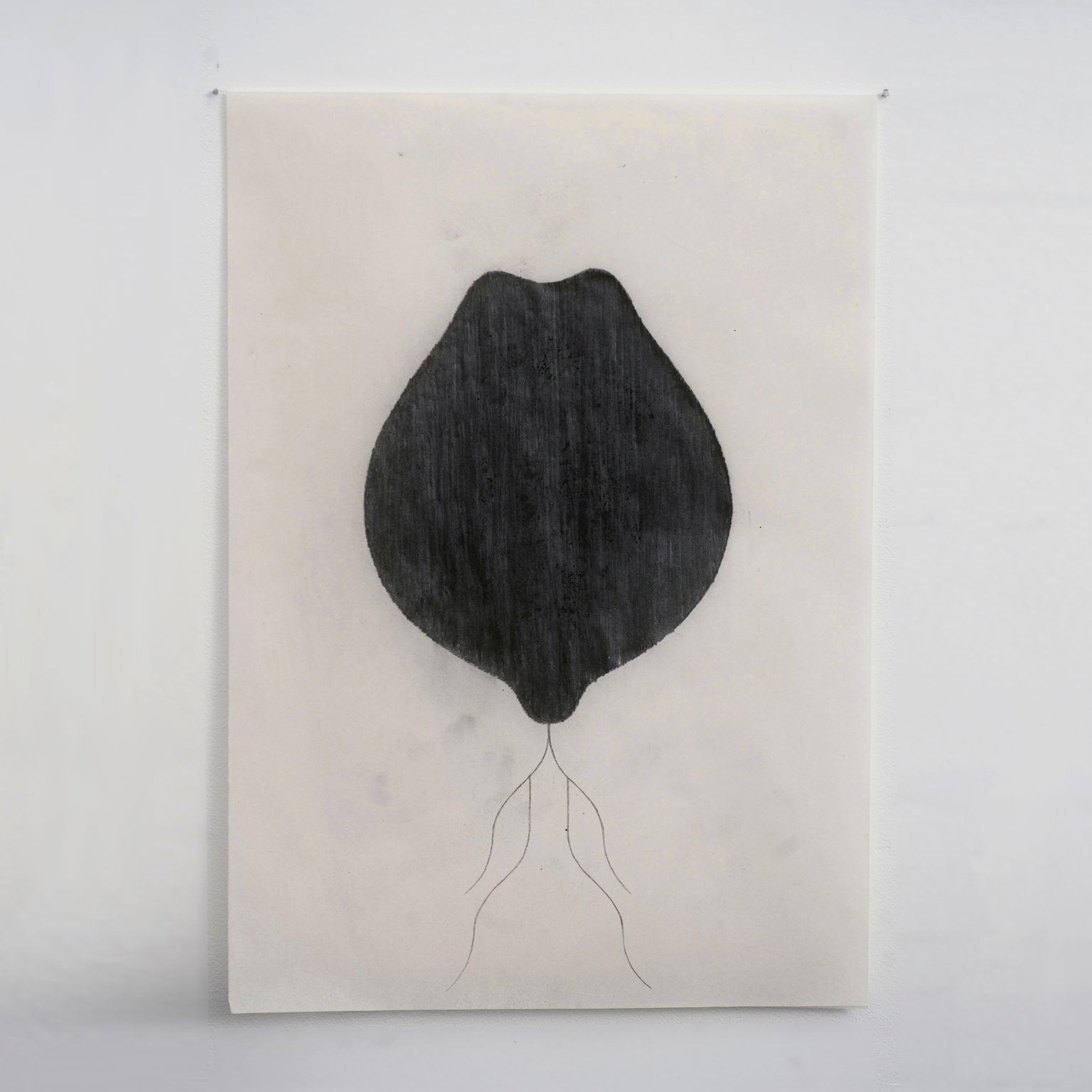 Edafon, ZOEpolis,  Fundacja NOŚNA Kraków 2019